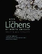 Irwin M. Brodo, Brodo Irwin M., Susan Laurie-Bourque, Laurie-Bourque Susan, Stephen Sharnoff, Stephen Sharnoff... - Keys to Lichens of North America