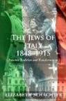 Elizabeth Schachter, Elizabeth Schachter - Jews of Italy 1848 1915