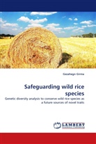 Gezahegn Girma - Safeguarding wild rice species