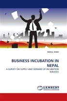 RAHUL SHAH - BUSINESS INCUBATION IN NEPAL