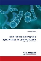 Tom Inge Sønju - Non-Ribosomal Peptide Synthetases in Cyanobacteria
