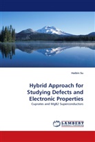 Haibin Su - Hybrid Approach for Studying Defects and Electronic Properties
