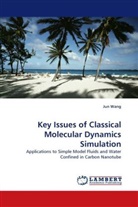 Jun Wang - Key Issues of Classical Molecular Dynamics Simulation