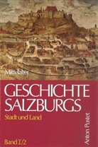 Heinz Dopsch, Hans Spatzenegger - Geschichte Salzburgs, 2 Bde. in 6 Tl.-Bdn. - 1/2: Geschichte Salzburgs - Stadt und Land