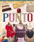 Susaeta Publishing Inc, Sixteen Sweet - Punto : técnicas y proyectos