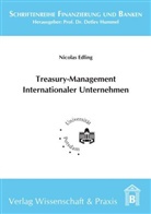 Nicolas Edling - Treasury-Management Internationaler Unternehmen.