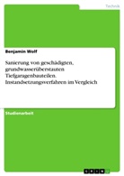 Benjamin Wolf - Sanierung von geschädigten, grundwasserüberstauten Tiefgaragenbauteilen. Instandsetzungsverfahren im Vergleich