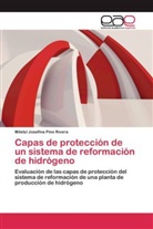 Miletzi Josefina Pino Rivera - Capas de protección de un sistema de reformación de hidrógeno