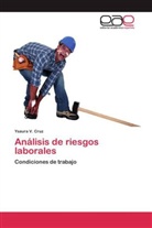 Ysaura V Cruz, Ysaura V. Cruz - Análisis de riesgos laborales