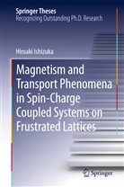 Hiroaki Ishizuka - Magnetism and Transport Phenomena in Spin-Charge Coupled Systems on Frustrated Lattices