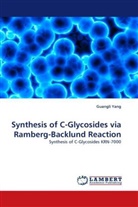 Guangli Yang - Synthesis of C-Glycosides via Ramberg-Backlund Reaction