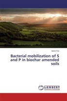 Aaron Fox - Bacterial mobilization of S and P in biochar amended soils