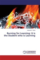 Nathaniel P Mead, Nathaniel P. Mead - Burning for Learning: It is the Student who is Learning