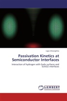 Ligia Gheorghita - Passivation Kinetics at Semiconductor Interfaces