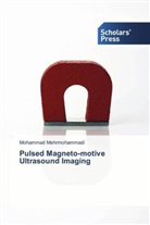 Mohammad Mehrmohammadi - Pulsed Magneto-motive Ultrasound Imaging