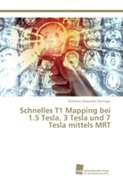 Matthias Alexander Dieringer - Schnelles T1 Mapping bei 1.5 Tesla, 3 Tesla und 7 Tesla mittels MRT
