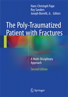 Joseph Borrelli, Jr. Borrelli, Joseph Borrelli Jr, Hans-Christoph Pape, Ro Sanders, Roy Sanders - The Poly-Traumatized Patient with Fractures