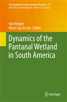 Mario Assine, Mario Luis Assine, Iva Bergier, Ivan Bergier, Luis Assine, Luis Assine - The Handbook of Environmental Chemistry - 37: Dynamics of the Pantanal Wetland in South America