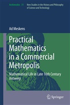 Ad Meskens - Practical mathematics in a commercial metropolis