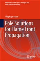 Oleg Kupervasser - Pole Solutions for Flame Front Propagation