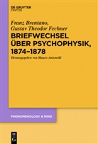 Fran Brentano, Franz Brentano, Franz Clemens Brentano, Gustav Th. Fechner, Gustav Theodor Fechner, Maur Antonelli... - Briefwechsel über Psychophysik, 1874-1878