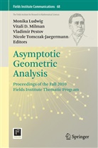 Vital D Milman, Vitali D Milman, Monika Ludwig, Vitali D. Milman, Vladimir Pestov, Vladimir Pestov et al... - Asymptotic Geometric Analysis
