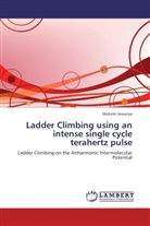 Mukesh Jewariya - Ladder Climbing using an intense single cycle terahertz pulse