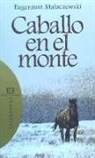 CABALLLO EN EL MONTE