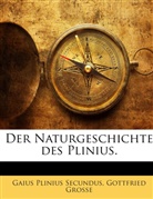Gottfried Große, Plinius der Ältere, Plinius der Jüngere, Gaius Plinius Secundus - Der Naturgeschichte des Plinius.
