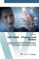 Agit Adirbelli - SAP HANA - Chancen und Risiken