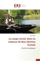 Sana Skhiri, Skhiri-s - La carpe miroir dans la retenue