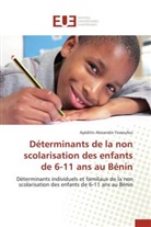 Ayéditin Alexandre Yessoufou, Yessoufou-a - Determinants de la non