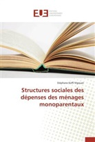 N gouan-s, Stéphane Koffi N'gouan - Structures sociales des depenses