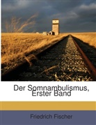 Friedrich Fischer - Der Somnambulismus, Volume 1...