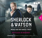 frei nach Motiven von Arthur Conan Doyle, Leonhard Koppelmann, Viviane Koppelmann, Johann von Bülow, Stefan Kaminski, Florian Lukas... - Sherlock & Watson - Neues aus der Baker Street: Ein Fluch in Rosarot, 1 Audio-CD (Audio book)