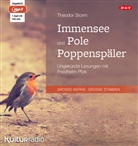 Theodor Storm, Friedhelm Ptok - Immensee und Pole Poppenspäler, 1 Audio-CD, 1 MP3 (Hörbuch)