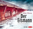 Silja Ukena, Götz Schubert - Der Eismann, 6 Audio-CD (Hörbuch)