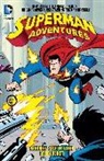 Rick Burchett, Paul Dini, Scott McCloud, Scott/ Burchett McCloud, Rick Burchett - Superman Adventures 1