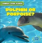 Rob Ryndak - Dolphin or Porpoise?