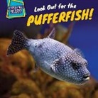 Dennis Rudenko - Look Out for the Pufferfish!