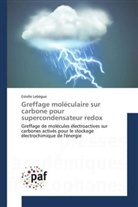 Estelle Lebègue, Lebegue-e - Greffage moleculaire sur carbone