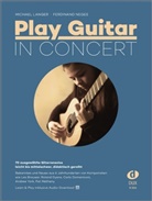 Michael Langer, Ferdinand Neges - Play Guitar in Concert