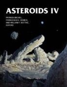 Patrick (EDT)/ Demeo Michel, William F Bottke, William F. Bottke, Francesca E Demeo, Francesca E. Demeo, Patrick Michel - Asteroids