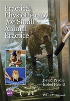 Isobel Hewitt, Hewitt Isobel, D Prydie, Davi Prydie, David Prydie, David Hewitt Prydie... - Practical Physiotherapy for Small Animal Practice