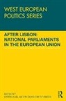 Katrin Auel, Katrin Christiansen Auel, Katrin Auel, Katrin (Institute for Advanced Studies Auel, Auel Katrin, Thomas Christiansen... - After Lisbon: National Parliaments in the European Union