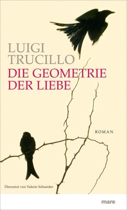 Luigi Trucillo - Die Geometrie der Liebe