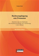 Svenja Hainz - Rechnungslegung von Prozessen: Überblick über die Methoden des Prozesscontrollings und -monitorings in der Literatur