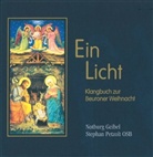 Notburg Geibel, Stephan Petzolt - Ein Licht, m. Audio-CD