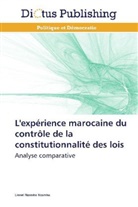 Lionel Nzamba Nzamba, Nzamba-l - L experience marocaine du