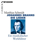Matthias Schmidt - Johannes Brahms. Die Lieder